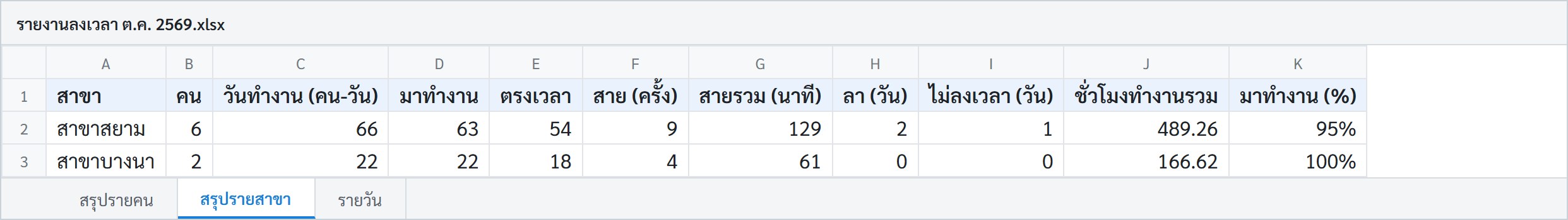 ตัวอย่างไฟล์ Excel สรุปรายสาขา